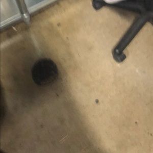 Meet your Posher, Ricardo